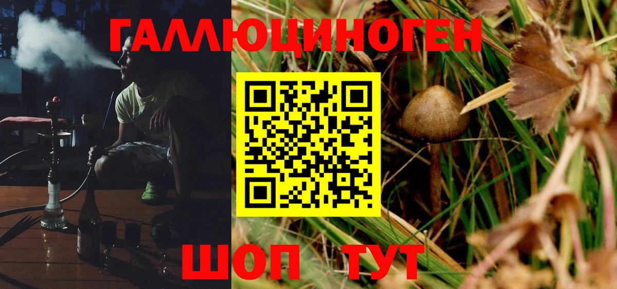 Псилоцибиновые грибы Cubensis Соль-Илецк
