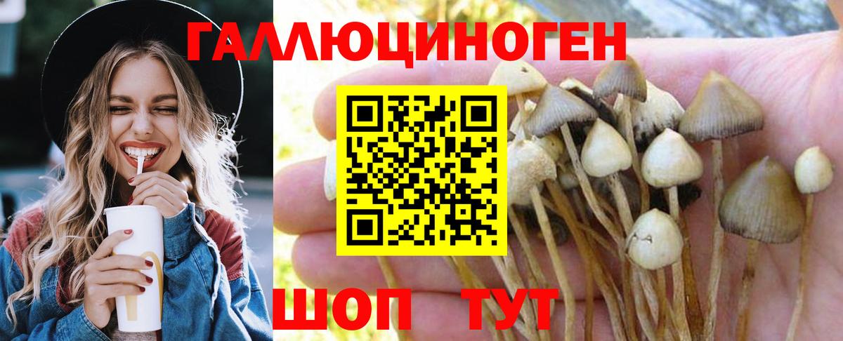 Псилоцибиновые грибы MAGIC MUSHROOMS  Вход с VPN  Соль-Илецк 